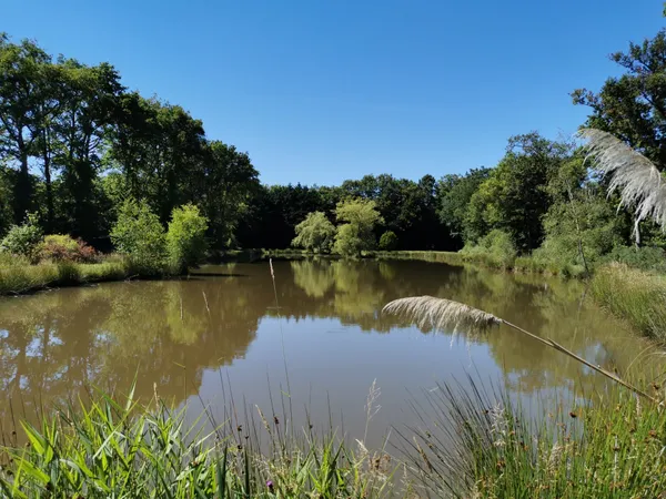 Terrain en individuel 11400 m²