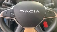 Dacia Spring Extreme — photo 25