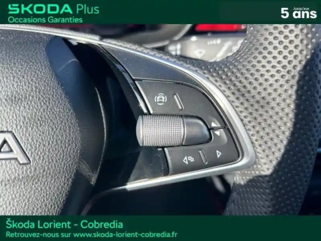 Skoda Fabia 1.0 tsi evo2 116ch monte carlo dsg7 — photo 15