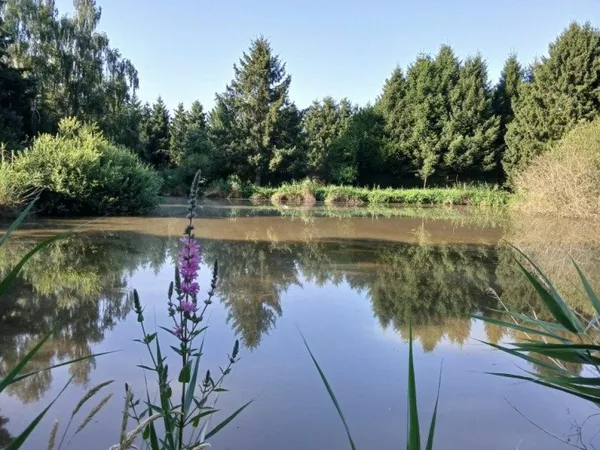 Pour se ressourcer au coeur de la nature...