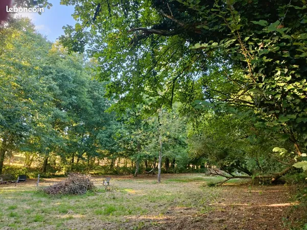Terrain 2,5 hectares - La Carneille - Orne