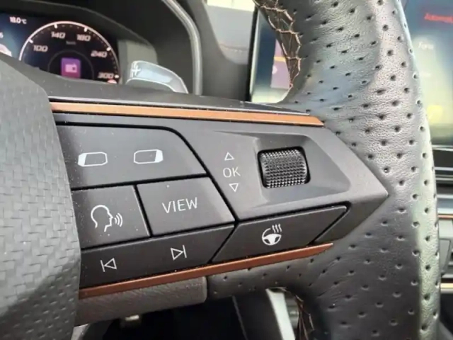 Cupra Formentor 1.4 e-hybrid 245ch vz dsg6 — photo 15