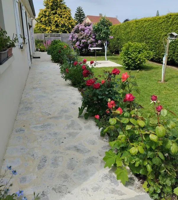 Photo 3