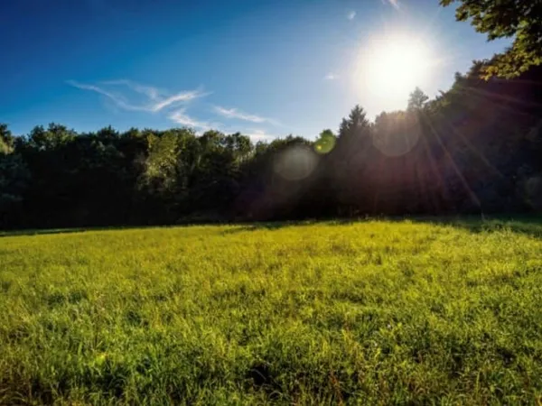 Terrain 610 m²