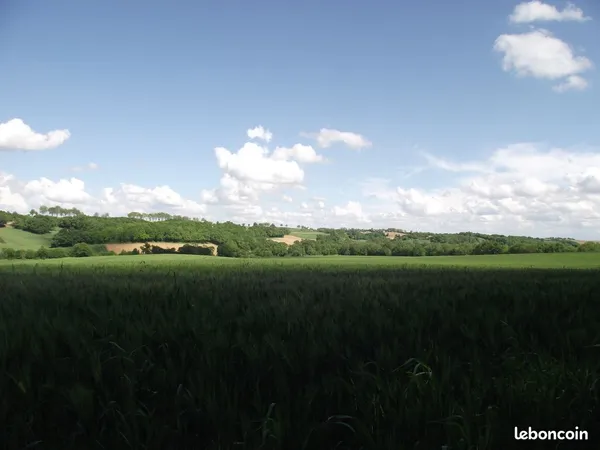 Terre Agricole