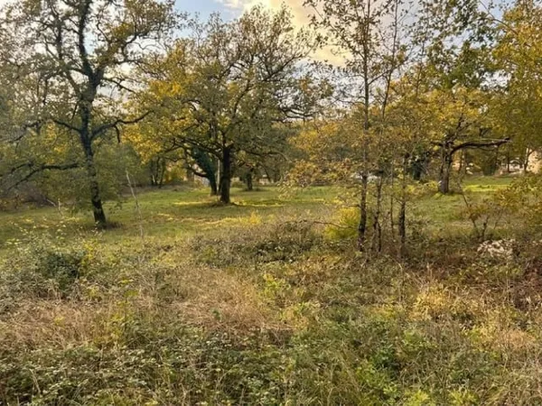 vente terrain - (s)