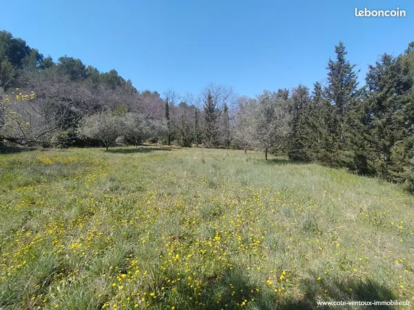 Terrain 1200 m² SARRIANS