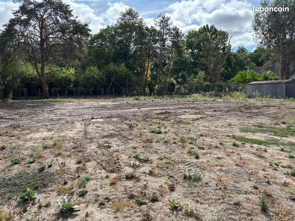 Immobilier terrain