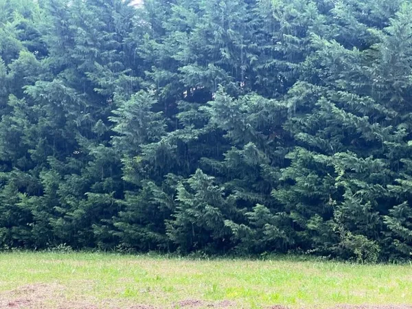 Terrain 500 m²