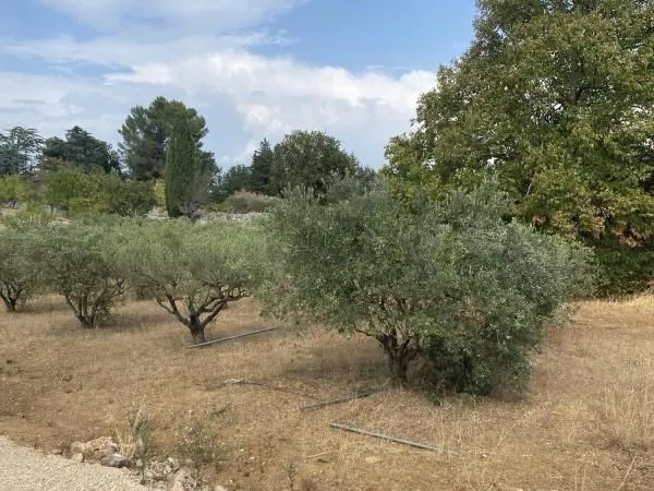 Terrain 620 m² Saint Maximin La Sainte Baume