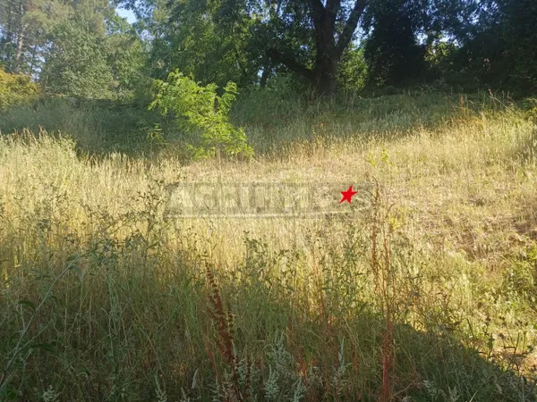 Terrain 1292 m²