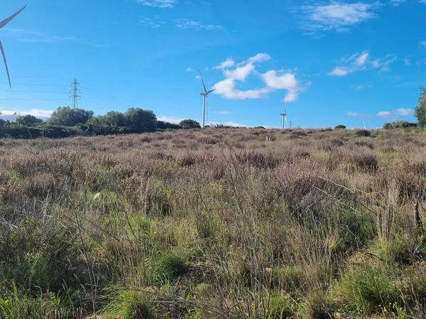 Terrain 9990 m2 baixas