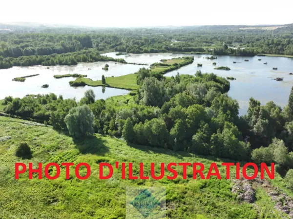 Terrain 7120 m²
