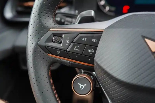 Cupra Terramar 1.5 ehybrid 204 ch dsg6 — photo 24