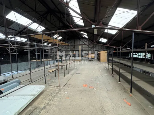 Local d'activité 985 m²