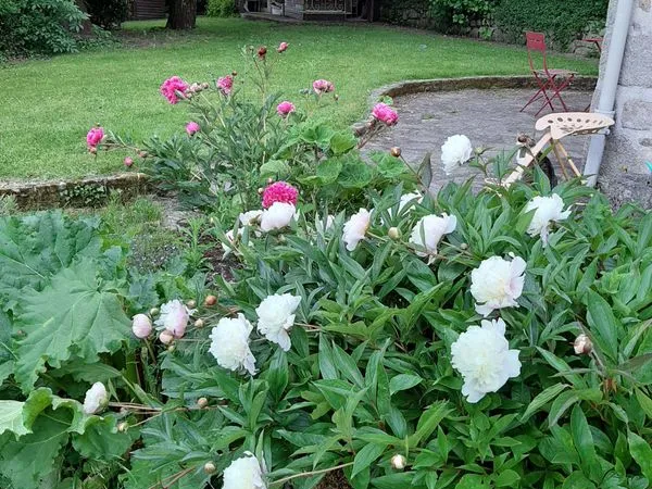Location maison vide grand jardin garage