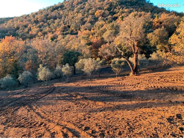 Terrain non constructible de 5 700 m²