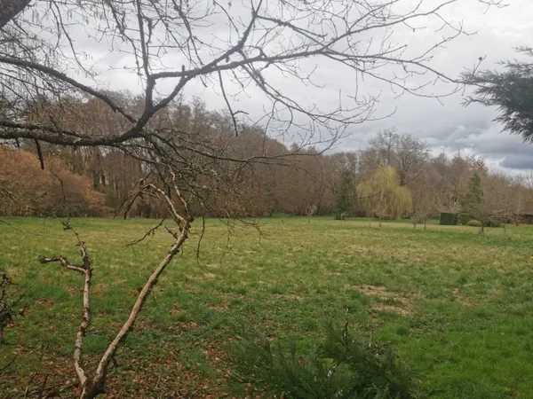 Terrain 1146 m²