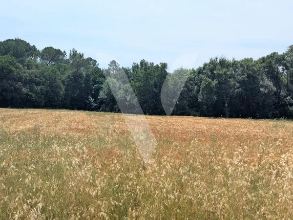 Terrain 6000 m²