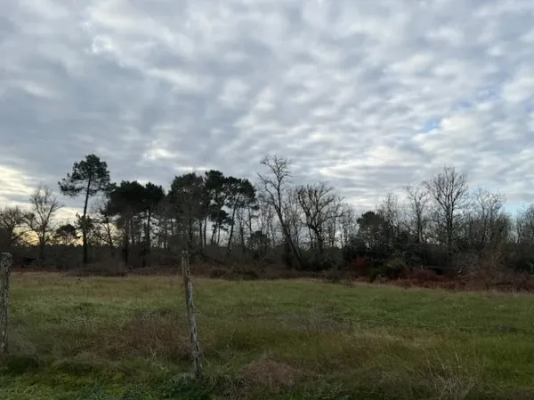 Terrain 545 m²