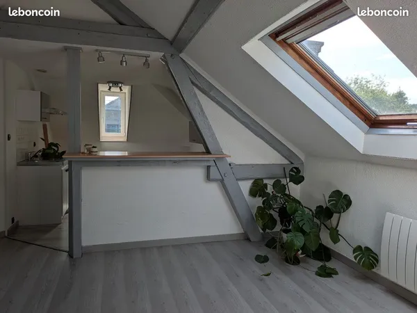 Appartement T2 mansardé - Vesoul (Secteur Jean Jaurès)
