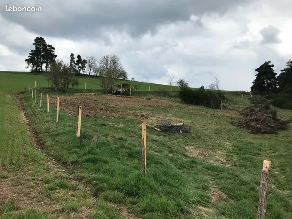 Terrain agricole et forestier