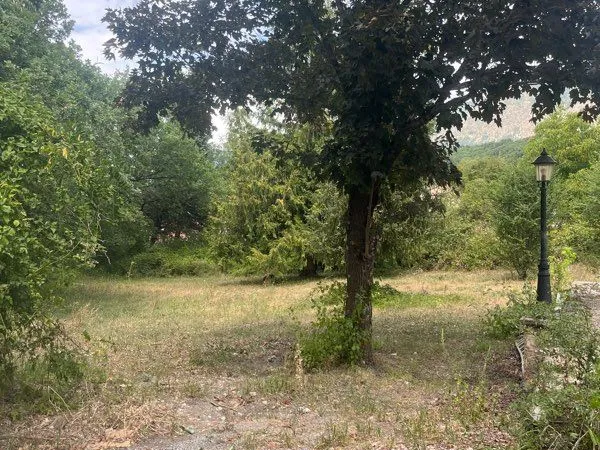 Terrain à bâtir