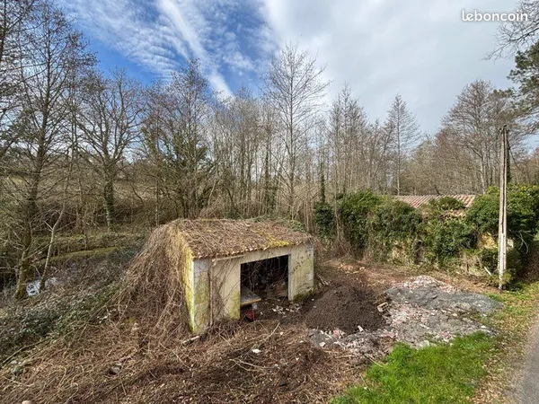 Terrain de 6000 m2 bâtisse à rénover