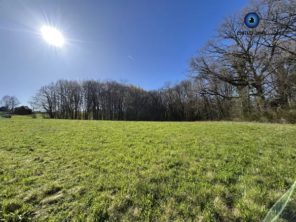 Terrain en individuel 1568 m²