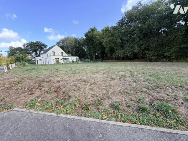 Terrain 590 m²