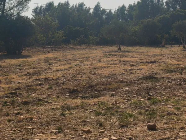 Terrain non constructible 1000m2