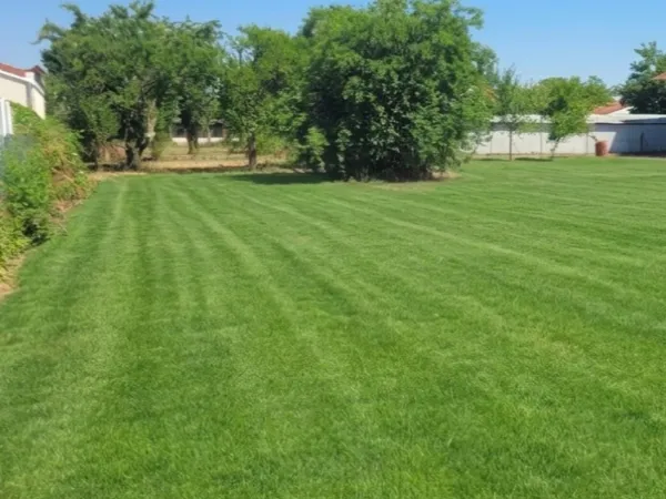 Terrain 988 m²