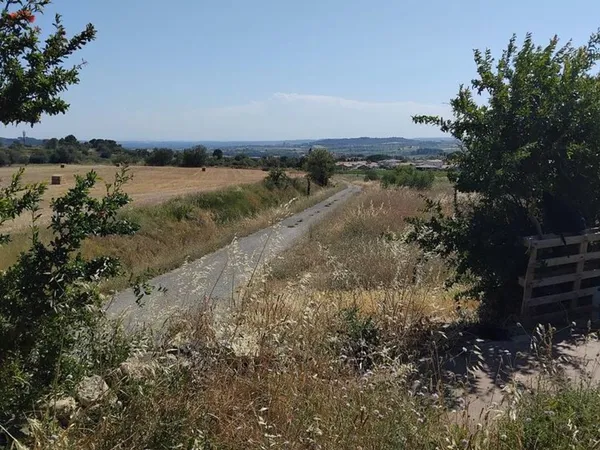 Terrain zone agricole