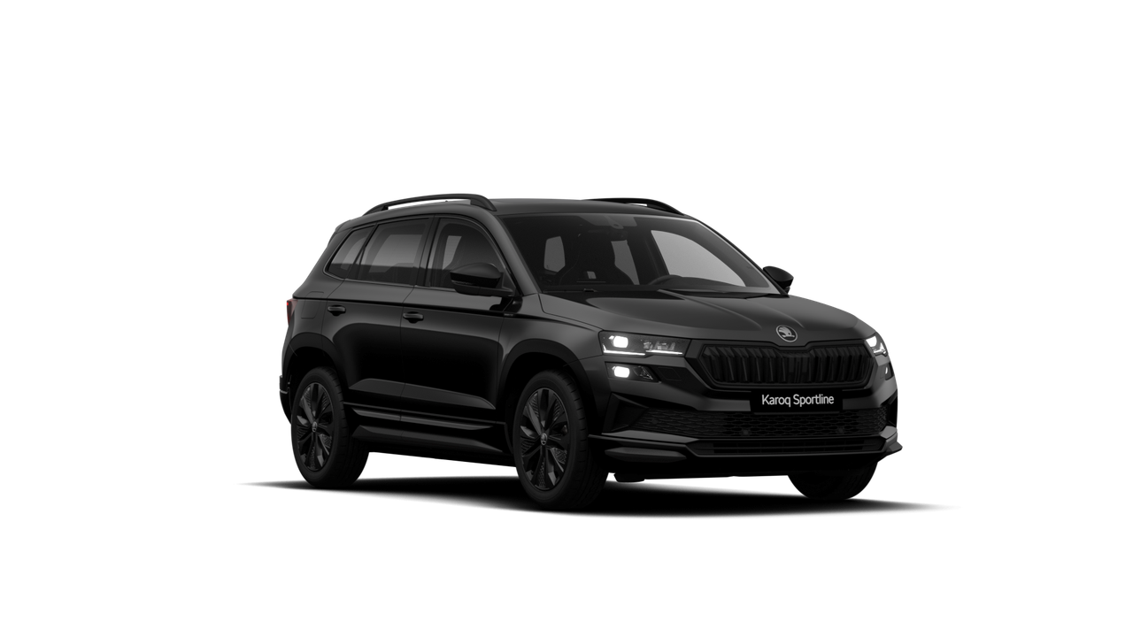 Skoda Karoq 2.0 TDI 150 ch SCR DSG7 — photo 1