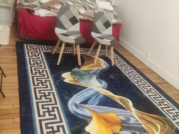 APPARTEMENT 24,5m2 rénové