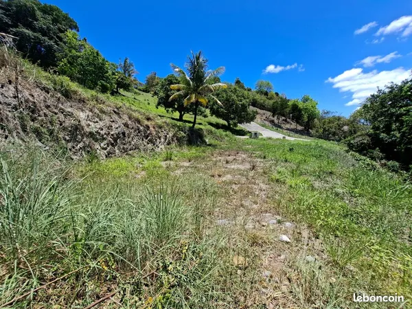 Terrain 707 m² Sainte Luce