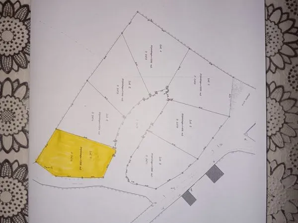 Terrain bâtissable 1 388 m² viabilisé - Idéal projet familial ou investissement / division (25 000) 