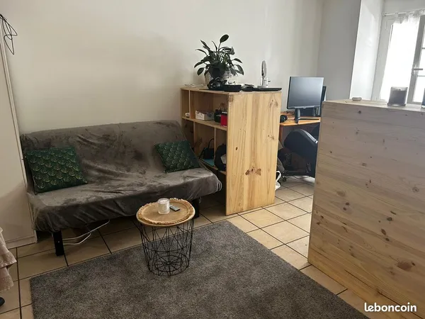 Appartement T1-bis 44m² - centre-ville de Nay