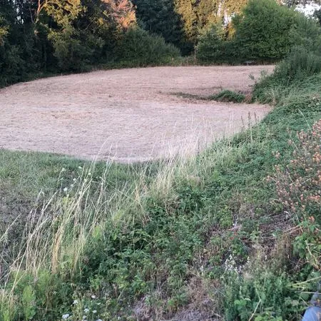 Terrain de loisir ou futur verger