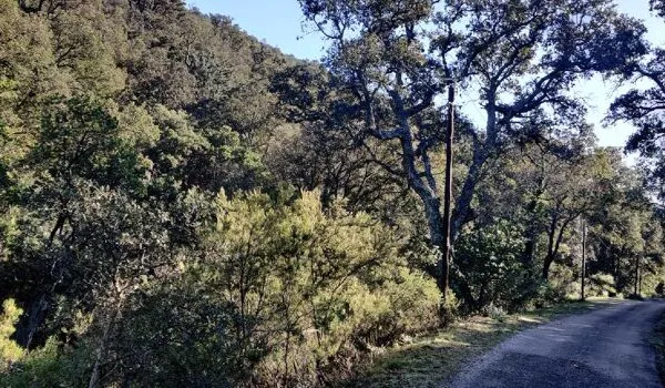 Terrain 40000 m²