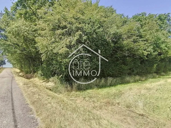 Savignac de Duras : Parcelles boisées : non constructible 1 HA 98