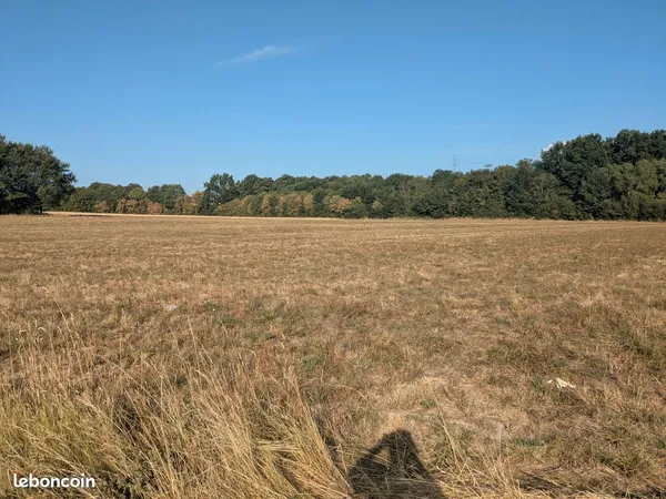 Terrain agricole