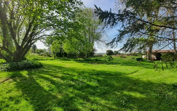 Terrain 1145 m²