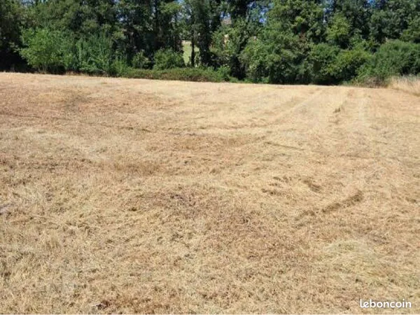 Terrain agricole