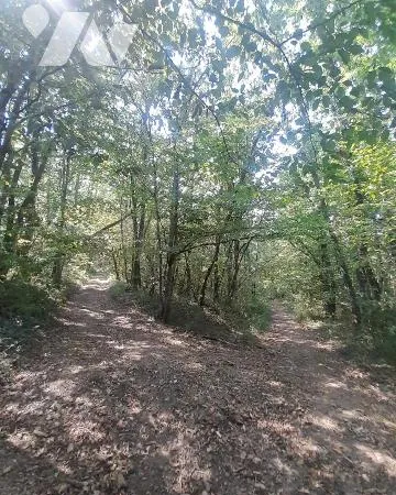 Terrain 21549 m²