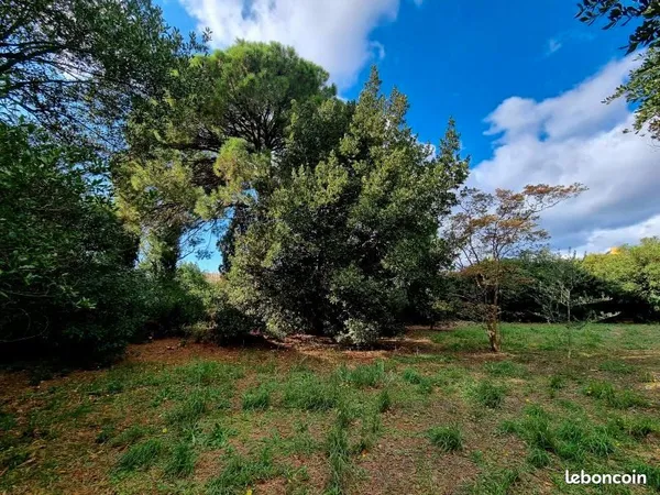 Terrain 947 m² Pomerols