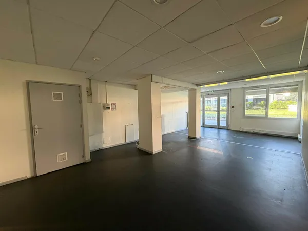 Local professionnel 367 m²