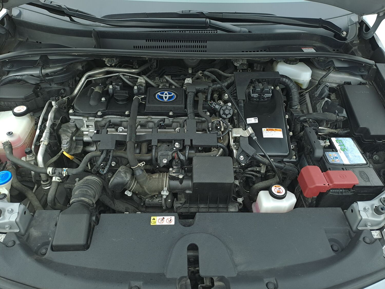 Toyota Corolla Touring Sports — photo 20