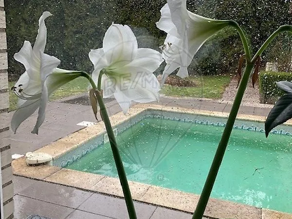 Maison 6 pièces 170 m²