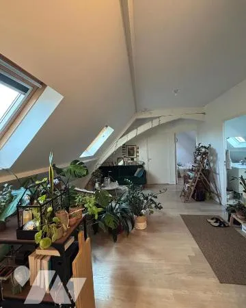 Appartement 3 pièces 42 m²